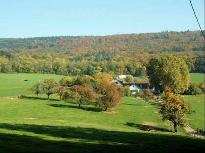 Foto: Bierhelderhof